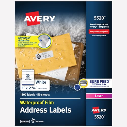 Avery 1 in x 2-5/8 in Labels (5520)