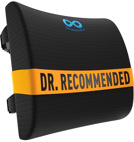 Everlasting Comfort Lumbar Pillow (Budget)