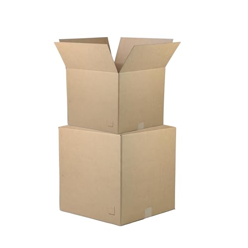 The Boxery 9"x9"x9" 100-Pack