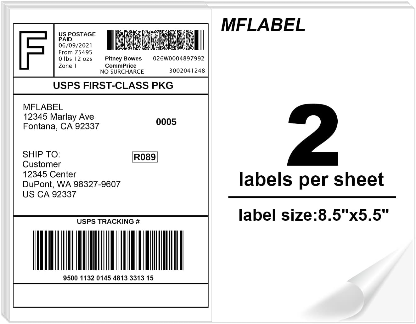 Best Bubble Mailers for Art Prints & Posters (2026 Guide)
