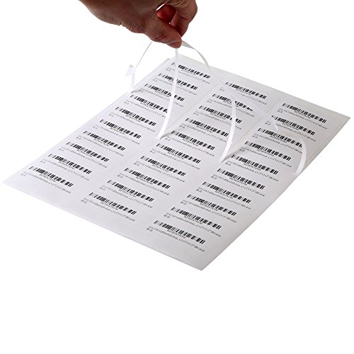 Fangtek 1 x 2-5/8 Labels