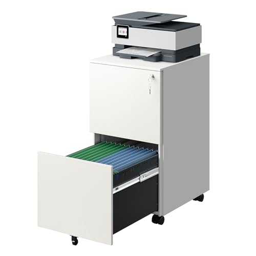 DEVAISE 2-Drawer Rolling File Cabinet
