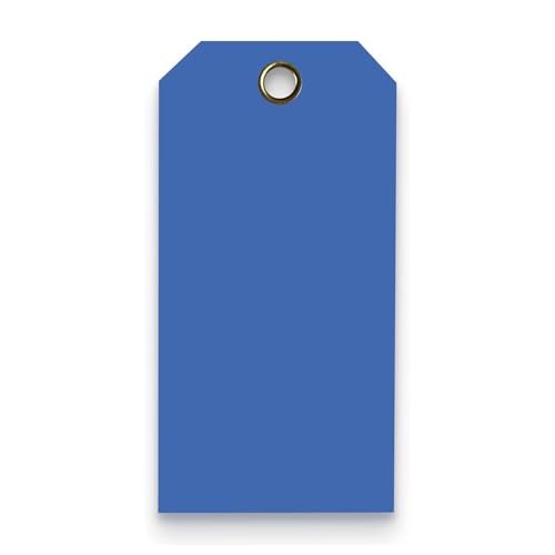 Tags 4 Less 15 Mil Plastic Tags (3 x 6)