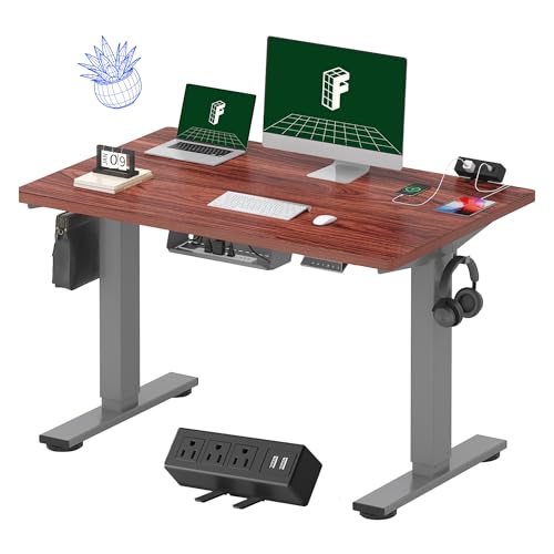FLEXISPOT EN2 Whole-Piece Standing Desk with Clamp Power Strip, 48 x 30'' Height Adjustable Electric Stand Up Desk with Cable Management (Gray Frame + Mahogany Top, 2 Packages)