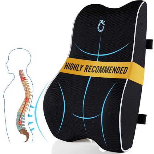CompuClever Lumbar Support Pillow