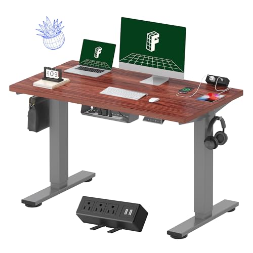 FLEXISPOT EN2 Whole-Piece Standing Desk with Clamp Power Strip, 48 x 24'' Electric Stand Up Height Adjustable Desk with Cable Management (Gray Frame + 48" Mahogany Top, 2 Packages)