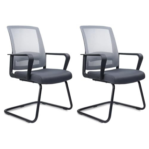 CLATINA Mesh Guest Chair (2 Pack)