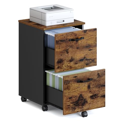 VASAGLE 2-Drawer File Cabinet (Rustic Brown)