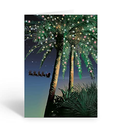 Stonehouse Collection Personalized Holiday Palm Santa Flyby