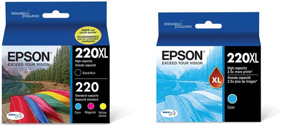 Epson T220 DURABrite Ultra (T220XL-BCS)