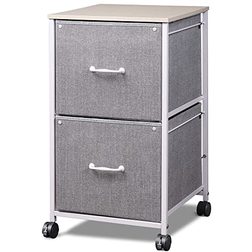 DEVAISE 2-Drawer Mobile File Cabinet (Light Grey)
