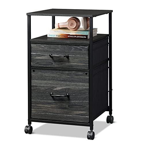 DEVAISE 2-Drawer Mobile File Cabinet