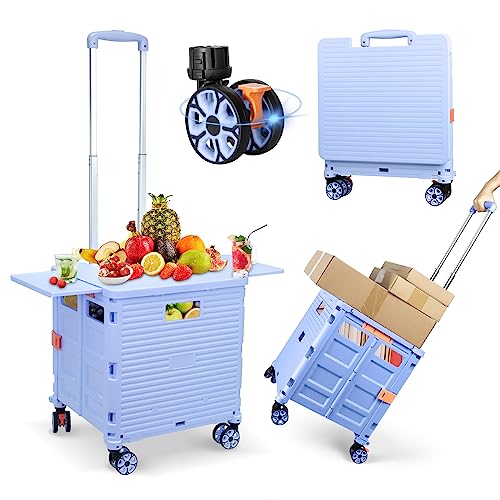 FELICON SELORSS Blue Pro (Magnetic Lid)