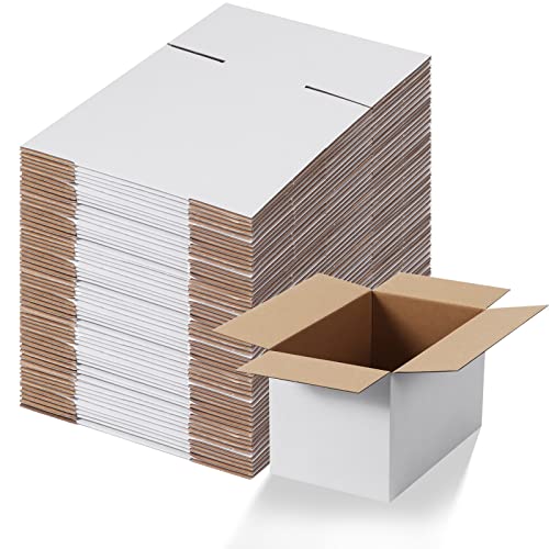 Calenzana 10x6x6 Shipping Boxes Set of 40