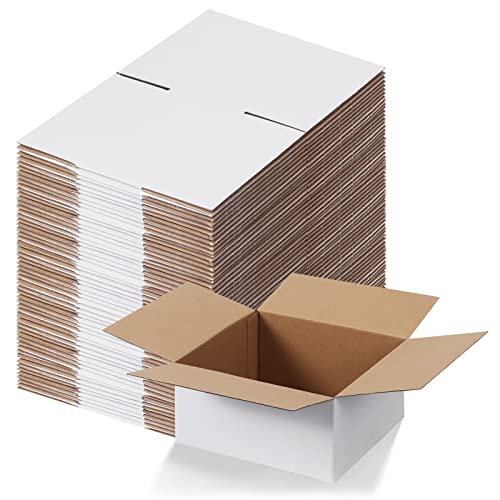Calenzana 8x8x4 Shipping Boxes