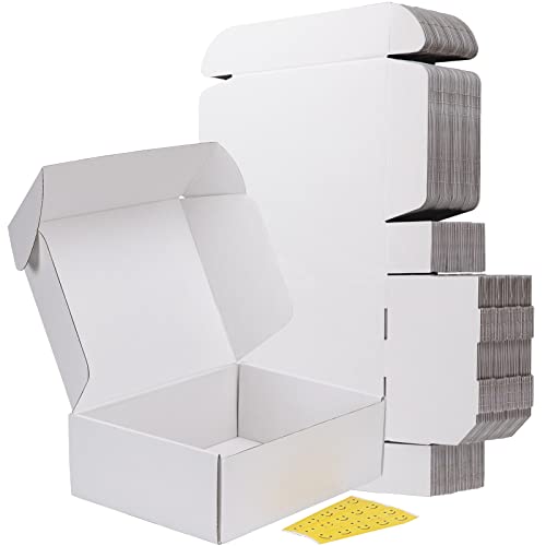 RLAVBL 12x9x4 Inches Shipping Boxes Set of 20