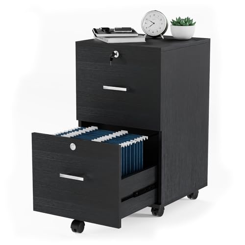 VINGLI 2-Drawer File Cabinet with Lock, Small Rolling Wood Filing Cabinet for Hanging Letter Size Filings with Tabs, Mobile Under Desk File Organizer for Home Office, Classic Black, 27.2" H
