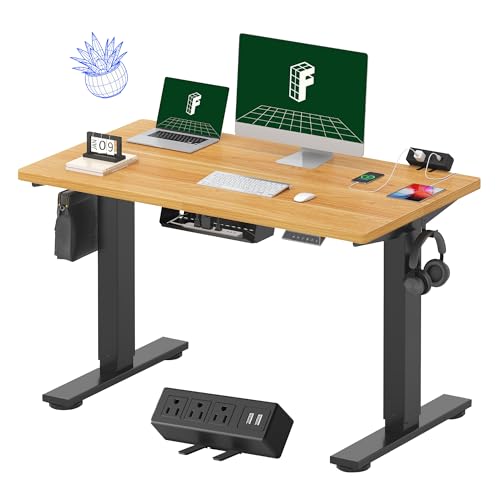 FLEXISPOT EN2 Whole-Piece Standing Desk with Clamp Power Strip, 48 x 24'' Electric Stand Up Height Adjustable Desk with Cable Management (Black Frame + 48" Maple Desktop, 2 Packages)
