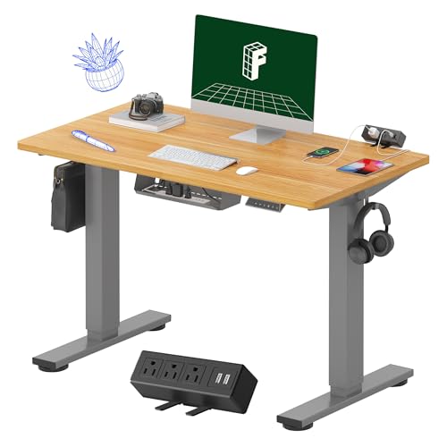FLEXISPOT EN2 Whole-Piece Standing Desk with Clamp Power Strip, 40 x 24 Electric Stand Up Height Adjustable Desk with Cable Management (Gray Frame + Maple Top, 2 Packages)