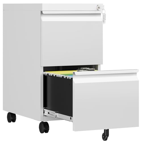 2 Drawer File Cabinet with Lock, Rolling File Cabinets for Home Office, Small Metal Filing Cabinet Office Drawers Under Desk for Letters/Legal/A4 Size, Assembly Required