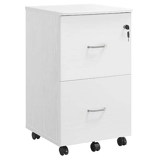 VASAGLE 2-Drawer Locking Cabinet (White)
