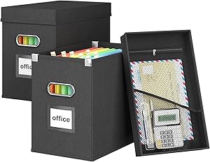 Huolewa File Organizer Boxes with Lids, Collapsible Hanging File Filing Box Organizer for Letter Size File & Folder, Document Organizer Storage Box with Metal Slide, Small File Cabinet for Home/Office
