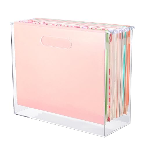Sintuff Acrylic File Box