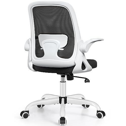 Winrise Office Chair