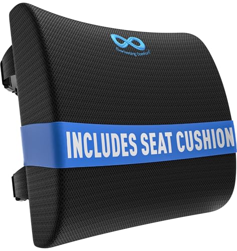 Everlasting Comfort Lumbar Support Pillow