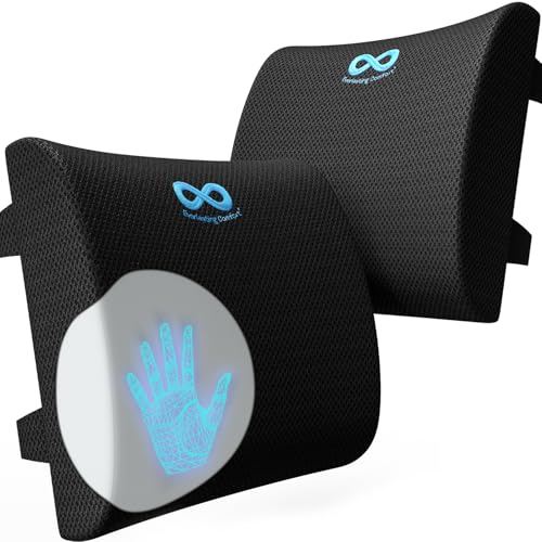 Everlasting Comfort Lumbar Support Cushion