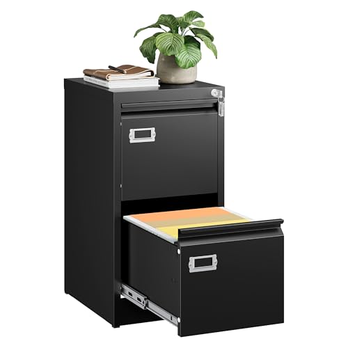 SISESOL 2 Drawer File Cabinet with Lock and Tag,Narrow Two Drawer Filing Cabinet,Vertical Metal File Cabinets,Small Filing Cabinets for Home Office Fit Letter/A4/Legal Size File,Easy Assembly
