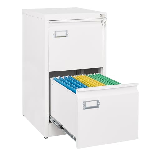 SISESOL 2-Drawer Metal File Cabinet