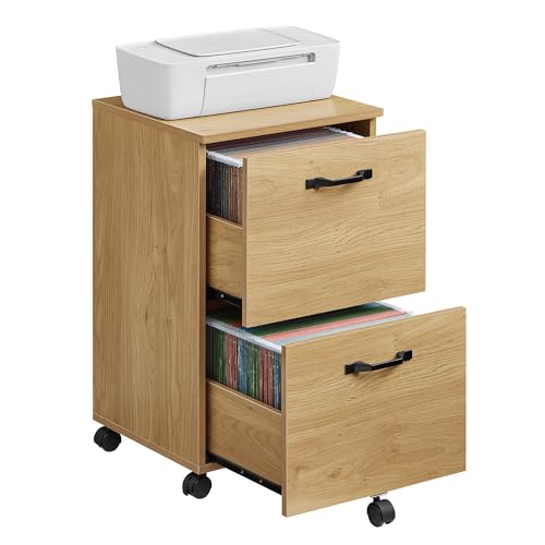 VASAGLE 2-Drawer File Cabinet