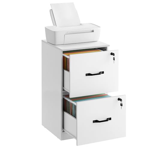 VASAGLE 2-Drawer File Cabinet