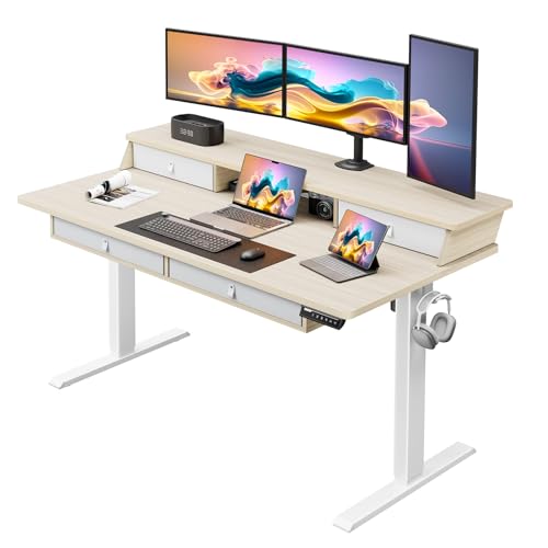 ErGear Electric Standing Desk with 4 Drawers, 55" x 30" Height Adjustable Desk with Storage, C-Clamp Mount Compatible, Computer Home Office Table with Cable Management Tray, Natural