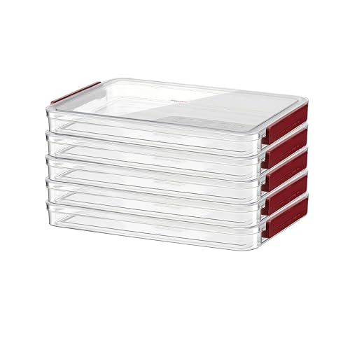 Clear A4 Paper Storage Box with Lids, Plastic A4 File Storage Bins, Magazine File Box, Stackable A4 Container File Holder Portable Project Case Bins, Desk Organizer for Invoice Document Stationery (5)