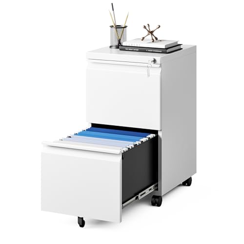 MIIIKO 2 Drawer File Cabinet on Wheels