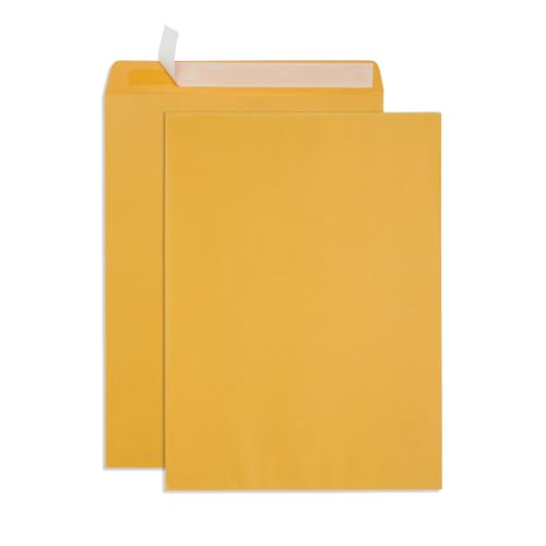 Blue Summit Large Mailing Envelopes