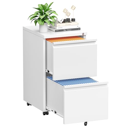 INTERGREAT 2-Drawer File Cabinet