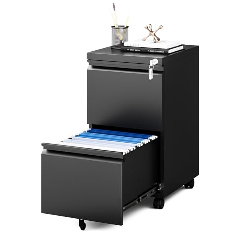 MIIIKO 2 Drawer File Cabinet on Wheels, Home Office Mobile File Drawers Under Desk, Filing Cabinets with Drawers for Legal/Letter/A4 File Folders(Black),Un-Assembled