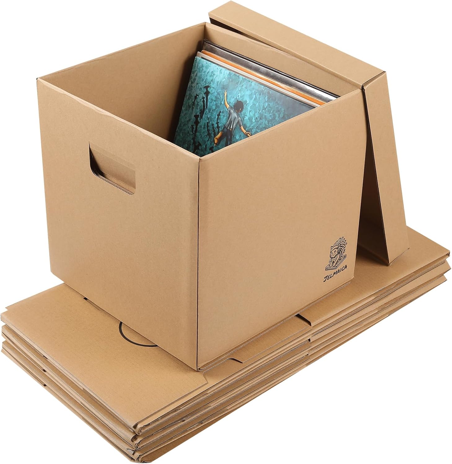 Jelmaica Vinyl Record Storage Box