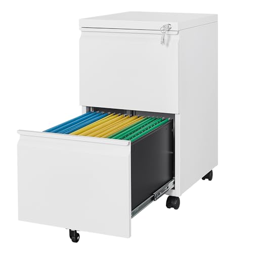 Letaya 2 Drawer Mobile File Cabinet with Lock,Under Desk Metal Filing Cabinets for Home Office Organizer Letters/Legal/A4(White-Requires Installation)