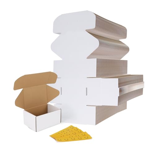 RLAVBL 75 Pack 6x4x3 Small Shipping Boxes