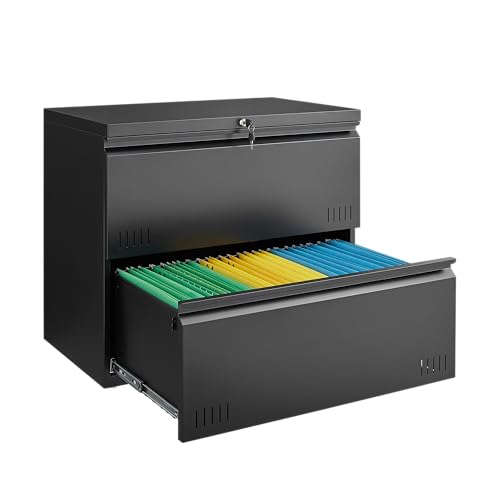 Guizeeopo Metal 2-Drawer File Cabinet (Black)