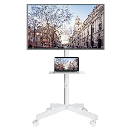 BONTEC Mobile TV Stand