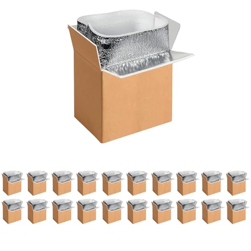20 Pack Insulated Shipping Boxes with Aluminum Foil Liner,Thermal Insulation Cold Pack Shipping Boxes for Frozen, Reusable Styrofoam Cooler Box, Small Mailing Box, 6X5X9, New