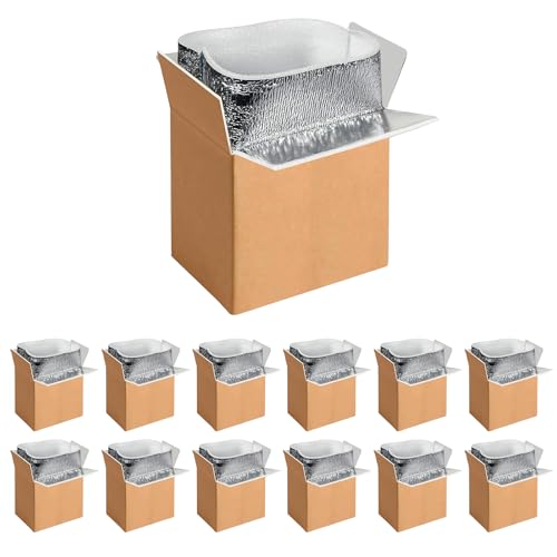 YSSOA 12 Pack Insulated Boxes