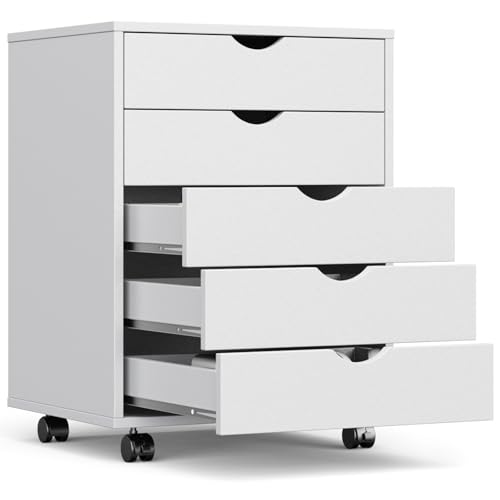 OLIXIS 5-Drawer Mobile File Cabinet