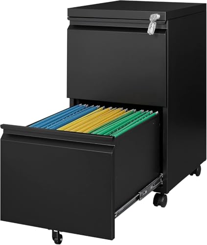 Letaya 2 Drawer Mobile File Cabinet (Black)