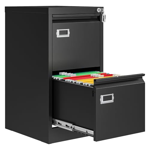 AFAIF 2 Drawer File Cabinet